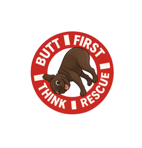 butt first think rescue frenchie notepad