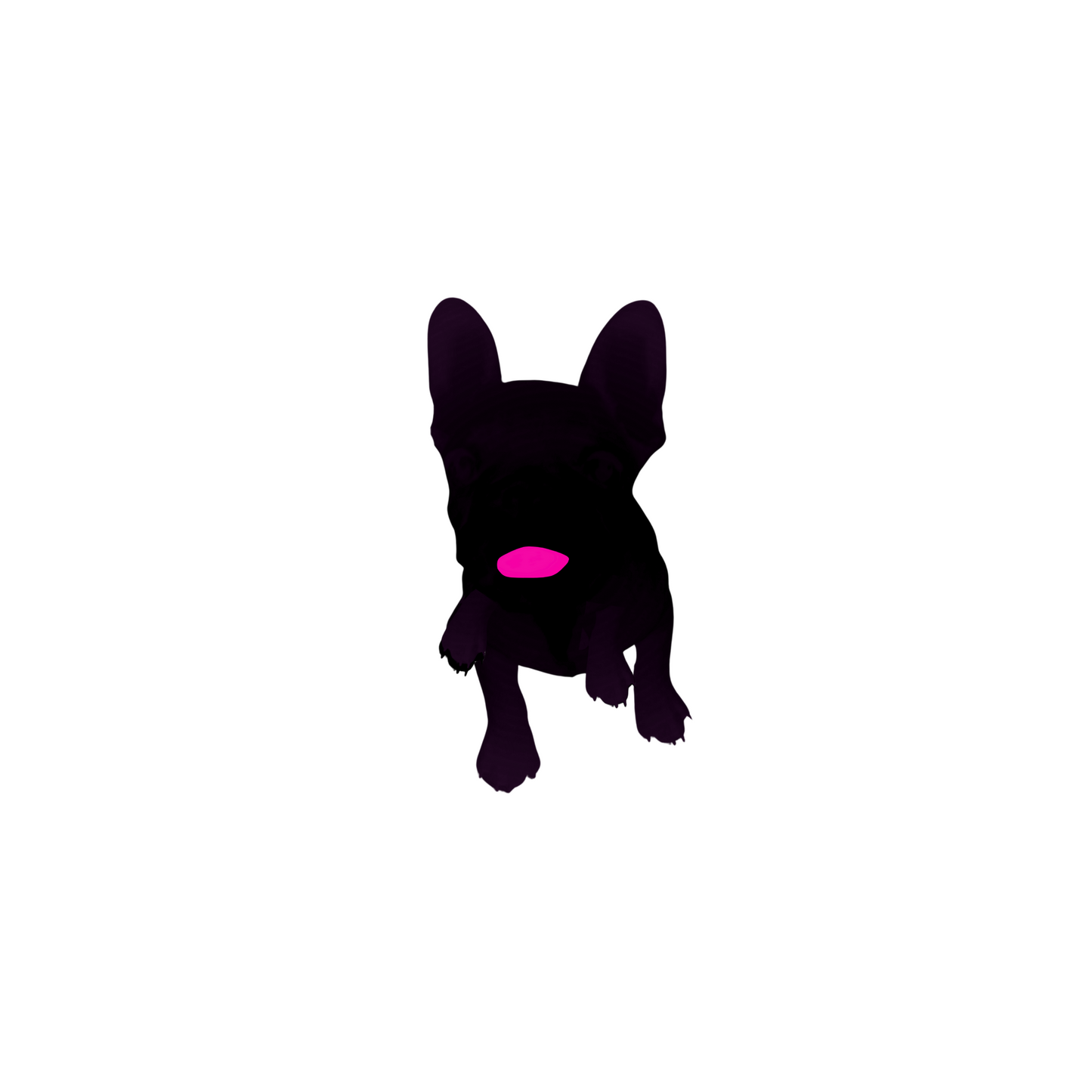 haute frenchie hot pink bordered two-sided horizontal note cards