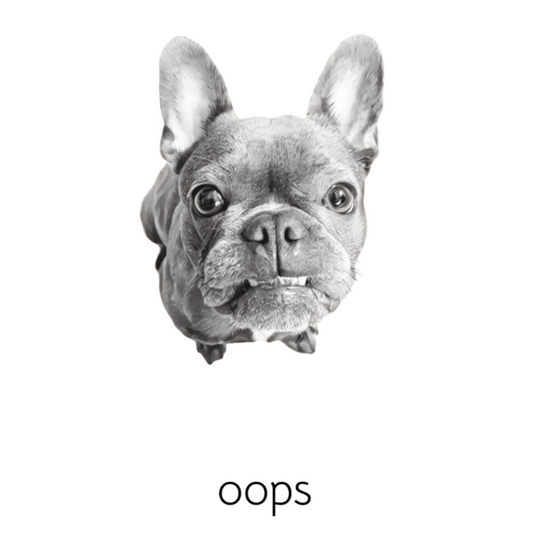 oops frenchie 4x6 note card