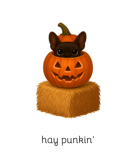 hay punkin' 4x6 note card