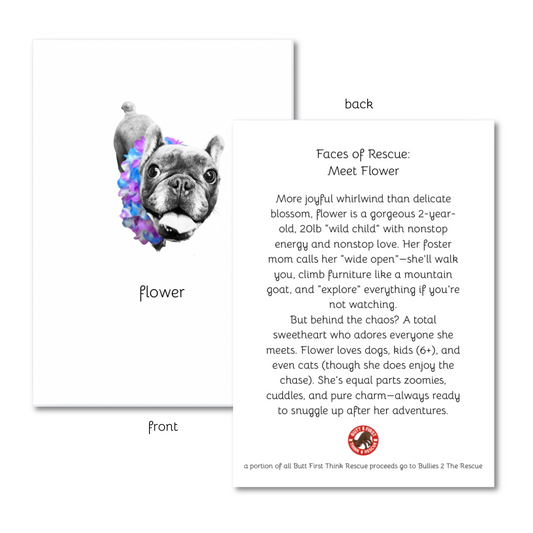 meet flower faces of frenchie rescue 4x6 note card