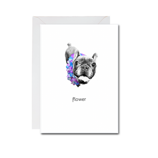 meet flower faces of frenchie rescue 4x6 note card