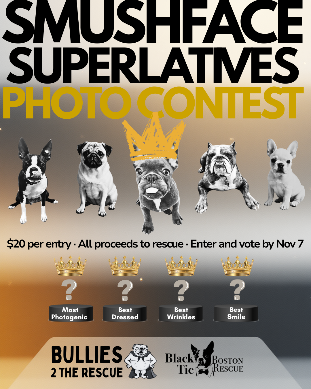 2025 Smushface Superlatives Photo Contest