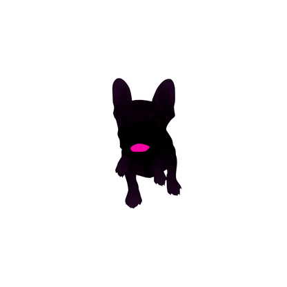 haute frenchie hot pink bordered two-sided vertical note cards