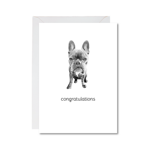 congratulations frenchie 4x6 note card