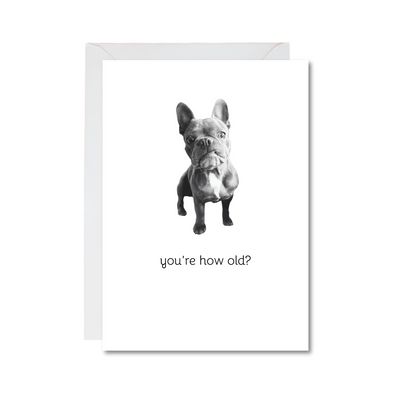 you're how old frenchie 4x6 note card