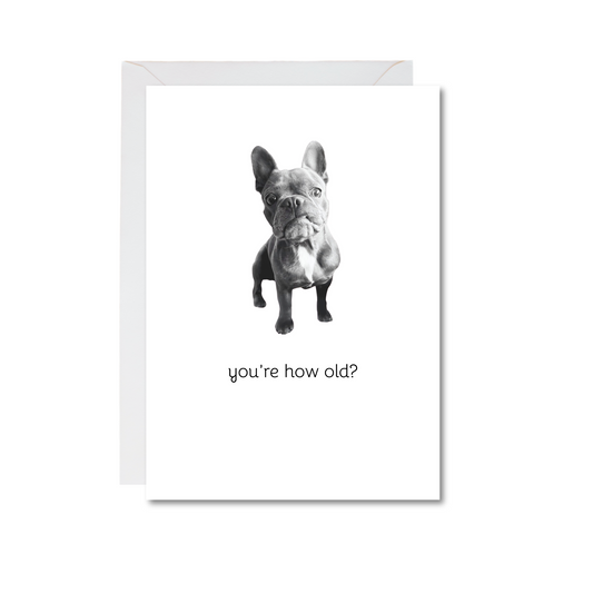 you're how old frenchie 4x6 note card